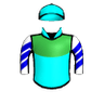 Mystery Man