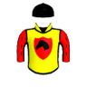 Grand Ariat