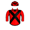 Bad Boy Rizz