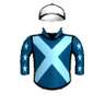 Ambassador
