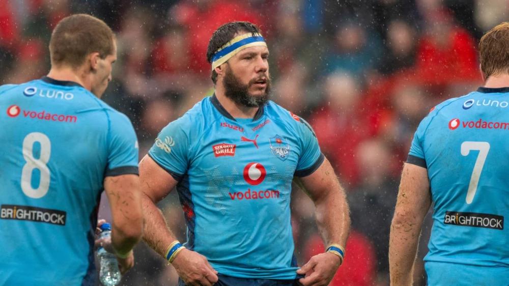 Eight new signings bolster Bulls squad for 2026/27 season