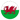 Wales U19