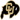 Colorado Buffaloes