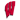 Wisconsin Badgers