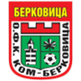 Kom Berkovitsa